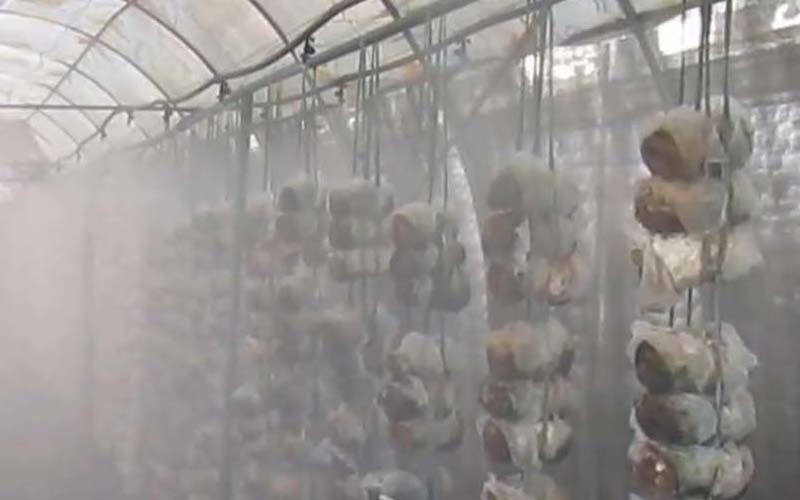 máy tạo ẩm phun sương trong công nghiệp